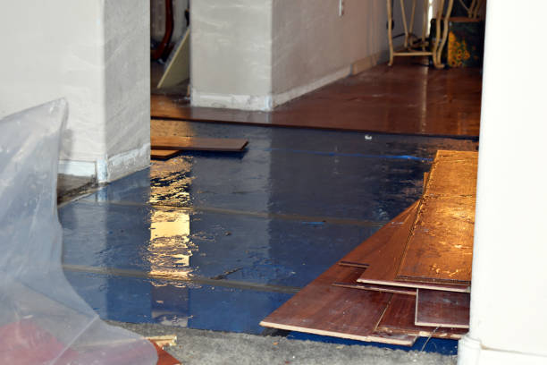 Professional Basement Flood Cleanup technician working in Old Bridge, NJ